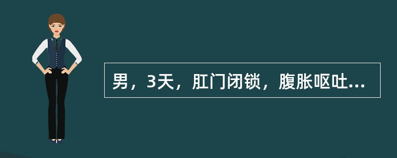 男，3天，肛门闭锁，腹胀呕吐，尿液澄清，应做的必需检查（）