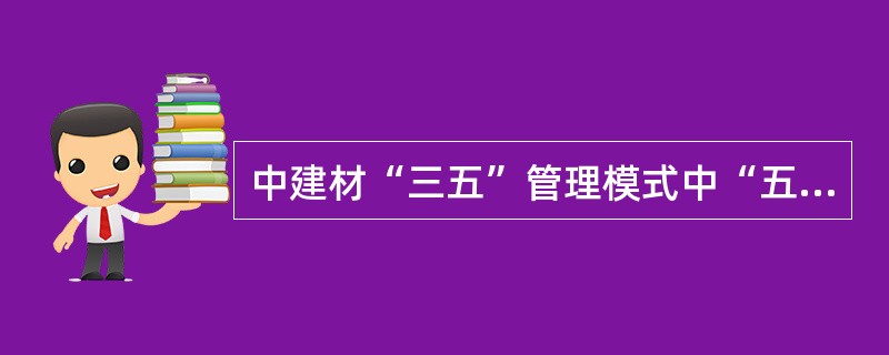中建材“三五”管理模式中“五集中”指的是？