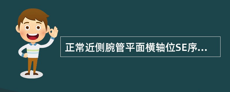 正常近侧腕管平面横轴位SE序列TWI显示（）