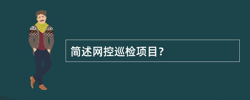 简述网控巡检项目？