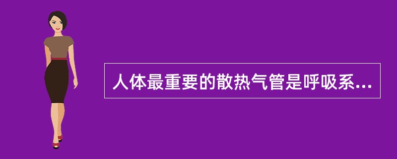 人体最重要的散热气管是呼吸系统。