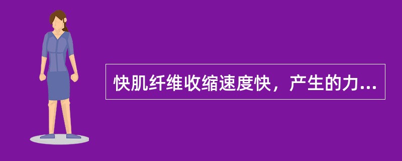快肌纤维收缩速度快，产生的力量大，但容易疲劳。