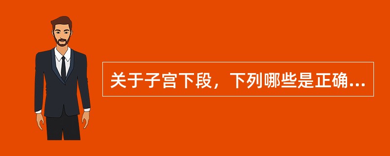 关于子宫下段，下列哪些是正确的（）