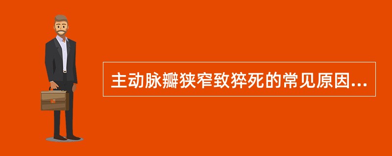 主动脉瓣狭窄致猝死的常见原因（）