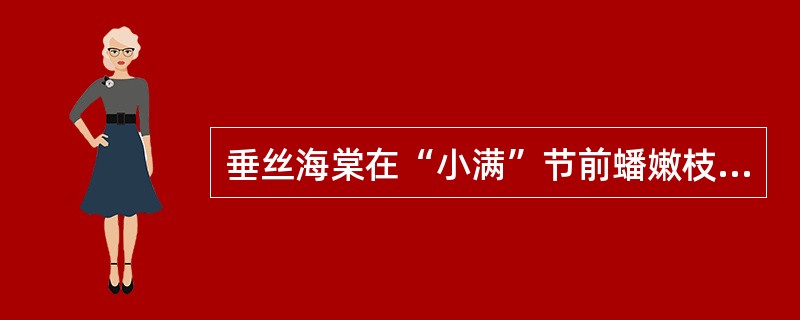 垂丝海棠在“小满”节前蟠嫩枝，初秋蟠第二次嫩枝，初冬用棕丝补蟠。