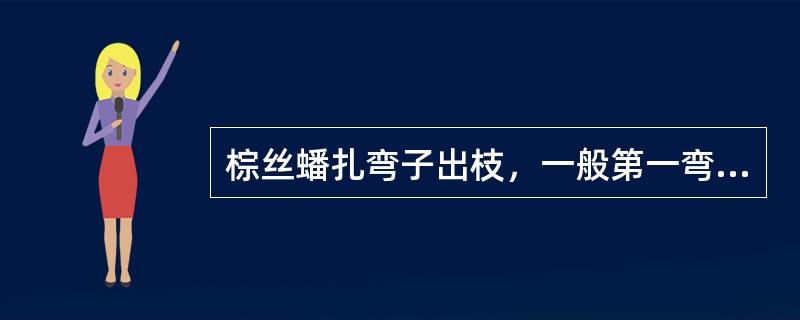 棕丝蟠扎弯子出枝，一般第一弯定高低，第二弯定方向。