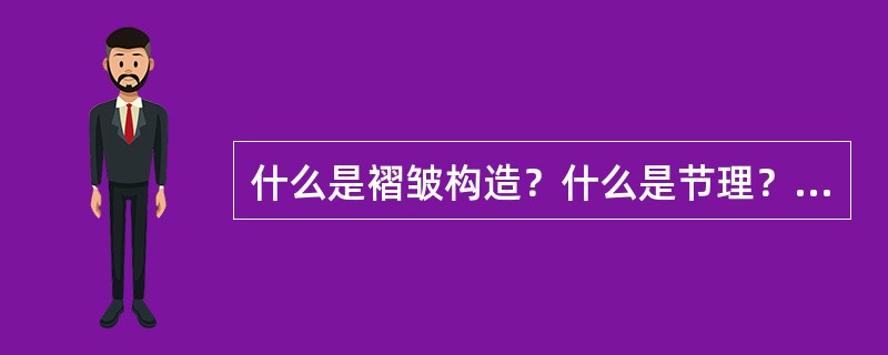 什么是褶皱构造？什么是节理？什么是断层？
