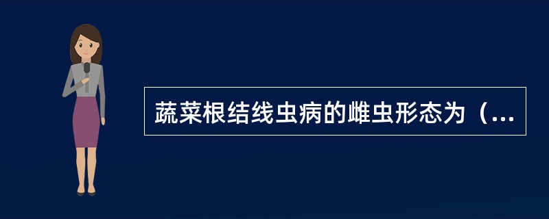 蔬菜根结线虫病的雌虫形态为（）。