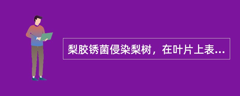 梨胶锈菌侵染梨树，在叶片上表现的症状是（）。