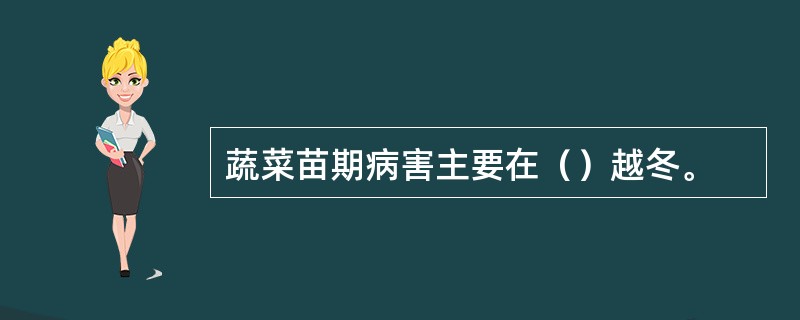 蔬菜苗期病害主要在（）越冬。