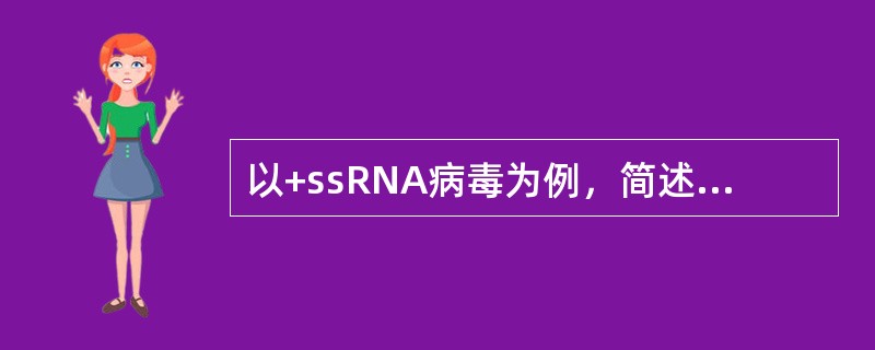 以+ssRNA病毒为例，简述植物病毒核酸复制和蛋白表达的过程。