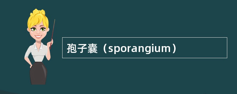 孢子囊（sporangium）