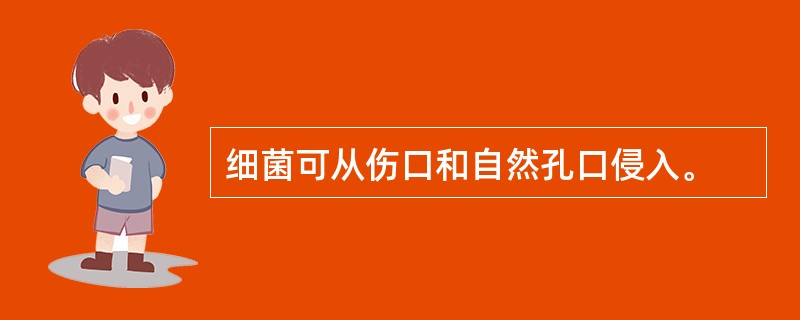 细菌可从伤口和自然孔口侵入。