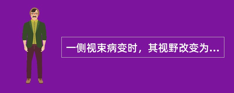 一侧视束病变时，其视野改变为（）