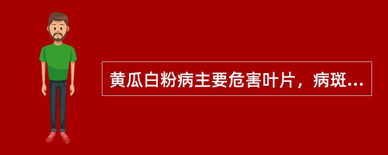 黄瓜白粉病主要危害叶片，病斑上可散生许多黑色小颗粒。