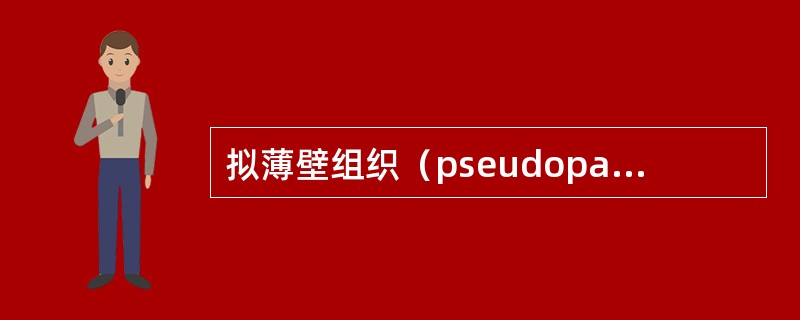 拟薄壁组织（pseudoparenchyrna）