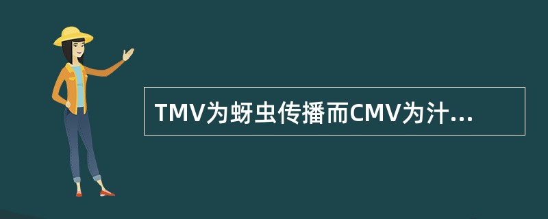 TMV为蚜虫传播而CMV为汁液传播。