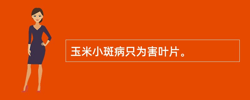 玉米小斑病只为害叶片。