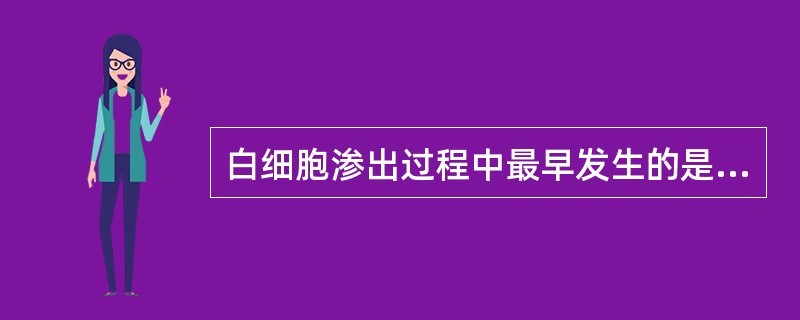 白细胞渗出过程中最早发生的是（）