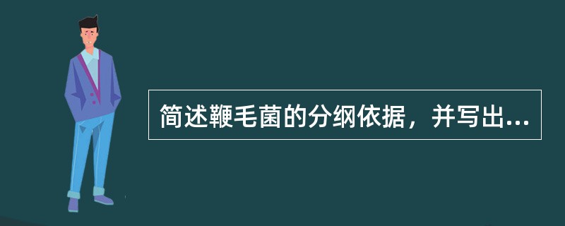 简述鞭毛菌的分纲依据，并写出各纲的名称。