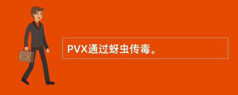 PVX通过蚜虫传毒。