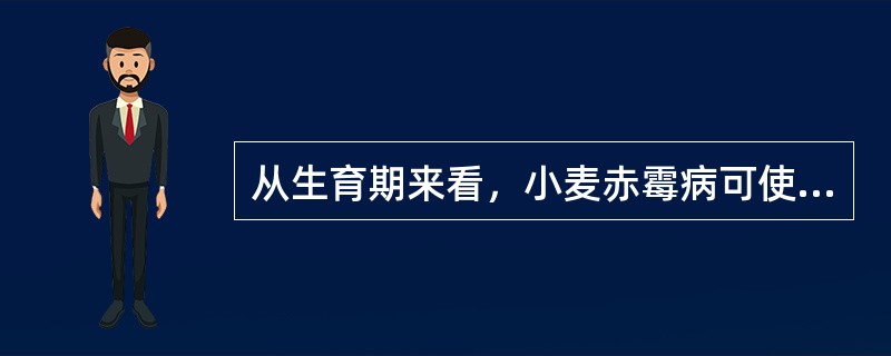 从生育期来看，小麦赤霉病可使小麦整穗期均受害，但以（）感病率最高。