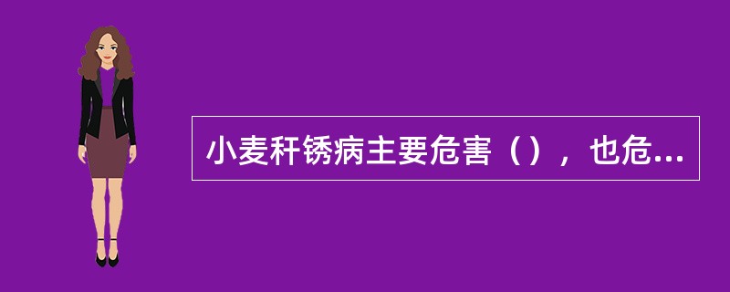 小麦秆锈病主要危害（），也危害叶片和穗部。