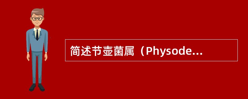 简述节壶菌属（Physoderma）特点。