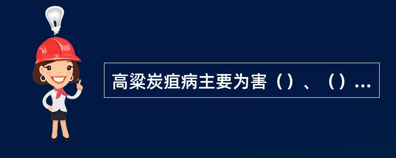 高粱炭疽病主要为害（）、（）和（），也可侵染（）和（）。苗期染病为害（），导致（