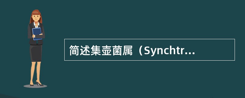 简述集壶菌属（Synchtricum）特点。