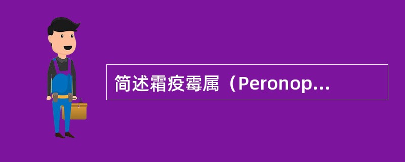 简述霜疫霉属（Peronophthora）的特点。