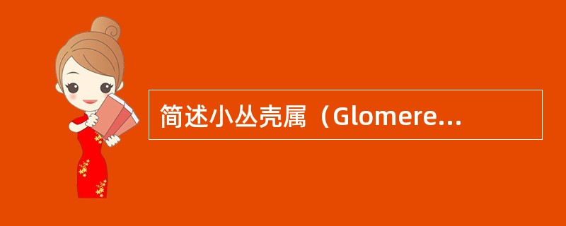 简述小丛壳属（Glomerella）特点。