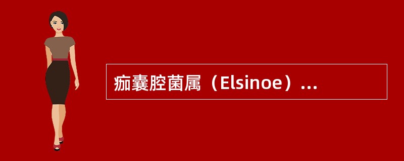痂囊腔菌属（Elsinoe）特点是什么？