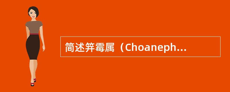 简述笄霉属（Choanephora）特点。