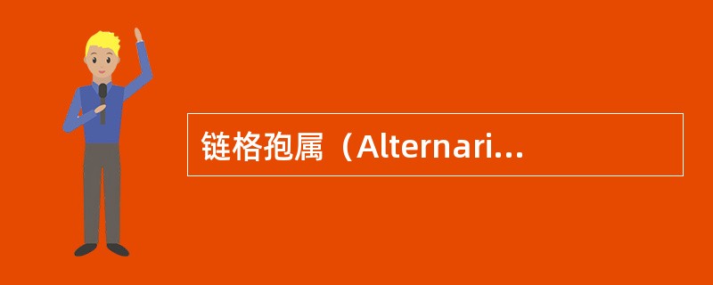 链格孢属（Alternaria）特点是什么？