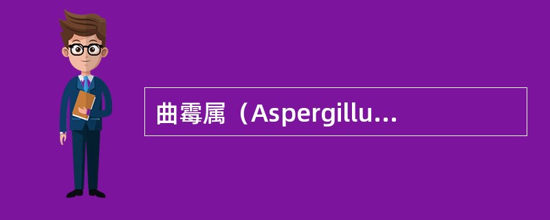 曲霉属（Aspergillus）特点是什么？