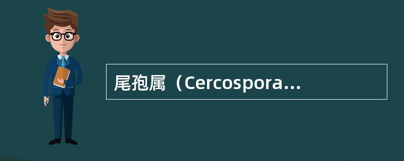 尾孢属（Cercospora）特点是什么？