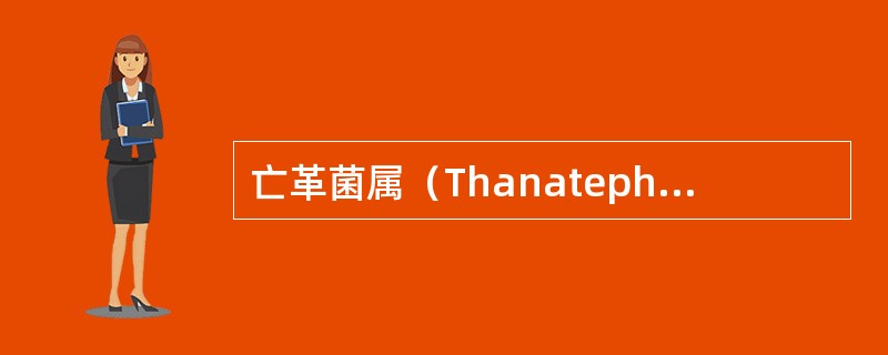 亡革菌属（Thanatephorus）特点是什么？