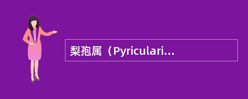 梨孢属（Pyricularia）特点是什么？