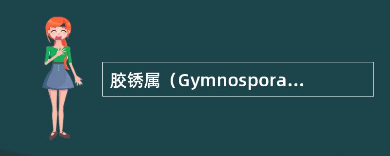 胶锈属（Gymnosporangium）特点是什么？