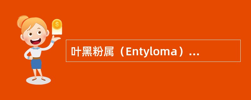叶黑粉属（Entyloma）特点是什么？