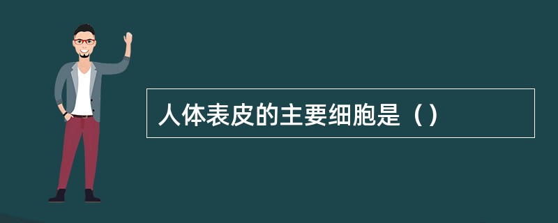 人体表皮的主要细胞是（）