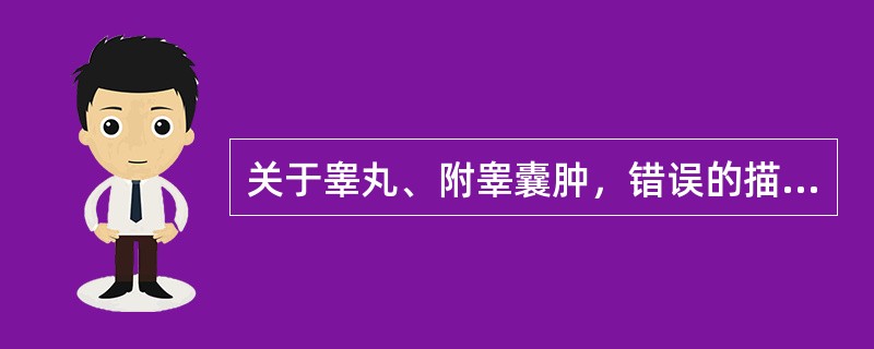 关于睾丸、附睾囊肿，错误的描述是（）。