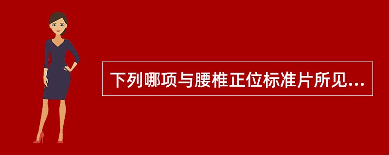 下列哪项与腰椎正位标准片所见不符（）。