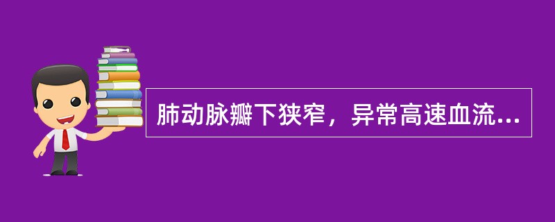 肺动脉瓣下狭窄，异常高速血流起源于（）。