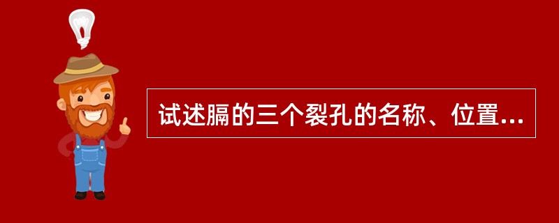 试述膈的三个裂孔的名称、位置和穿经的结构。