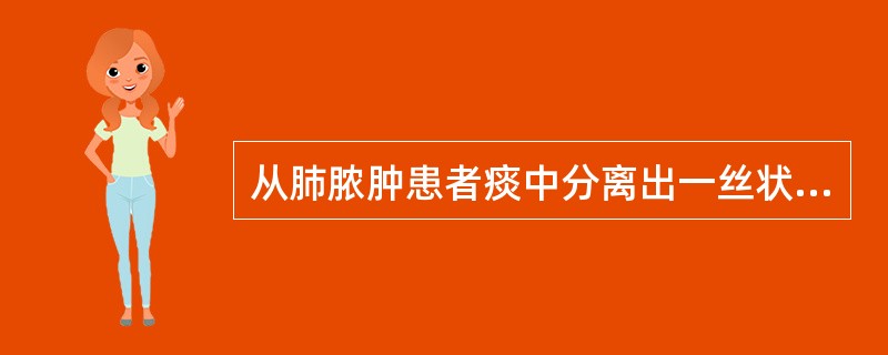 从肺脓肿患者痰中分离出一丝状菌，生长缓慢，血平板上为黄橙色菌落，表面干燥，有皱褶