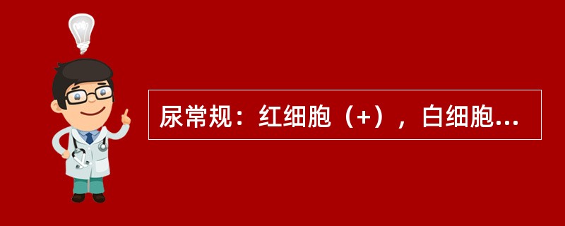 尿常规：红细胞（+），白细胞（+++），蛋白（+）（）