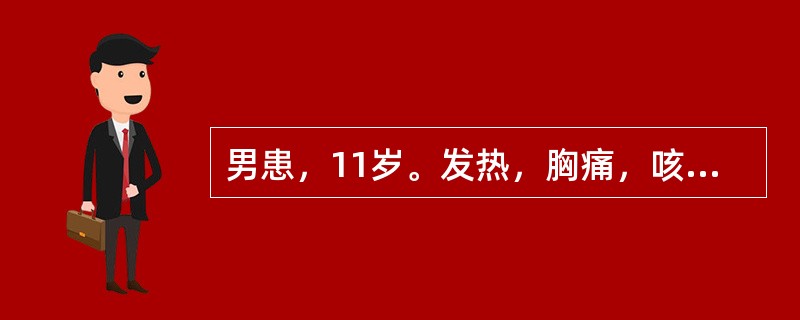 男患，11岁。发热，胸痛，咳嗽约2周，近5d有呼吸困难。体温39℃，脉搏120／