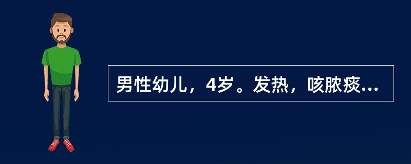 男性幼儿，4岁。发热，咳脓痰2周。体温波动于38～39℃，X线胸片示右肺下叶大片